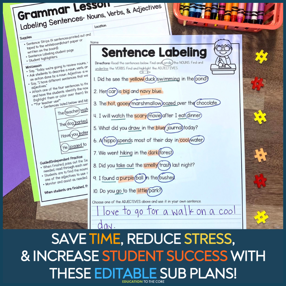 Second Grade Editable Sub Plans